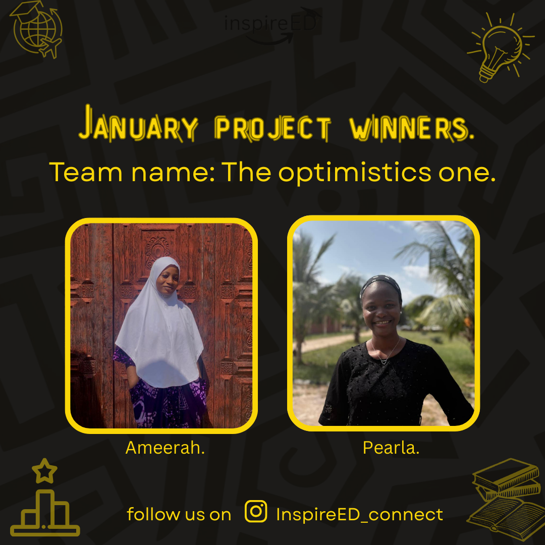 January Project Winners — The Optimistics One
